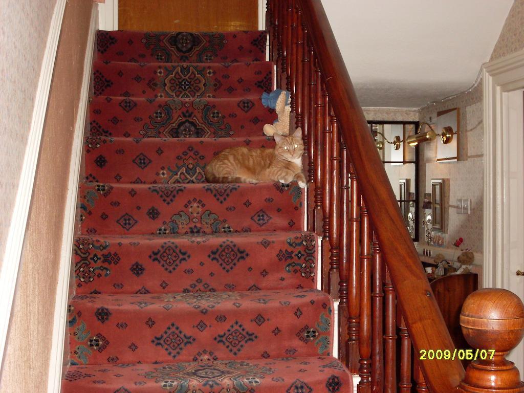 The Park Hill Hotell Betws-y-Coed Exteriör bild