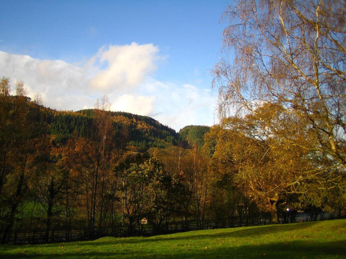 The Park Hill Hotell Betws-y-Coed Rum bild